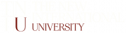 The New International University